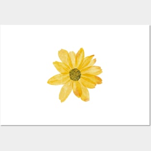 Little Yellow Daisy  Flower Posters and Art